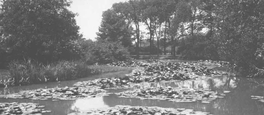 Sunken Gardens